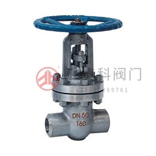 Z61H、Z61Y、Z61W 型 PN100~PN160 承插焊楔式閘閥