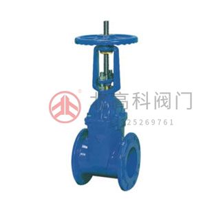 Z45X-10、Z45X-16 彈性座封閘閥