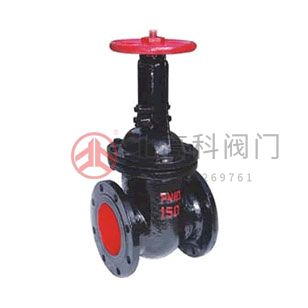 Z44H、Z44Y 型 PN16~PN160 鋼制平行式雙閘板閘閥